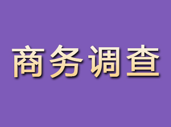 绵阳商务调查